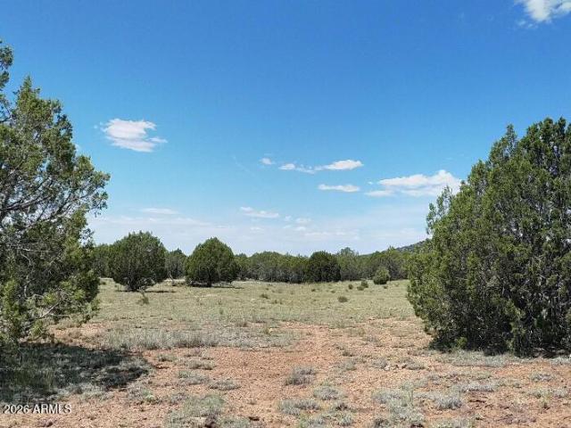 Land for sale in Ash Fork, Arizona