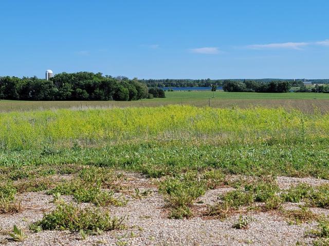 Land for sale in Dent, Minnesota