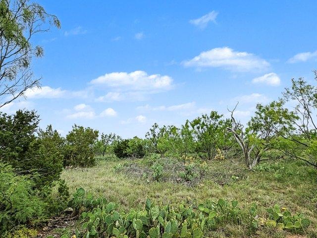 Land for sale in Robert Lee, Coke County