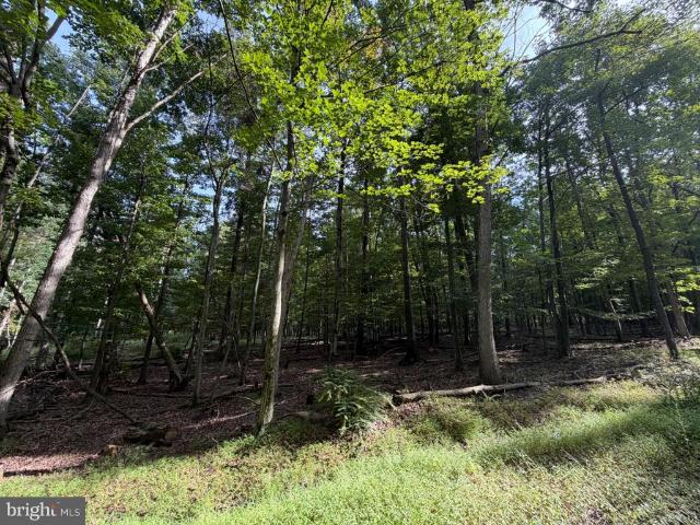 Land for sale in North Union Township, Schuylkill County