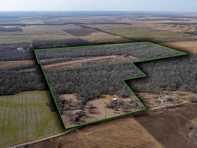 Land for sale in Epps, Louisiana