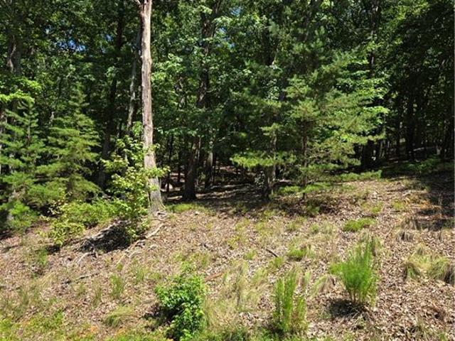 Land for sale in Denton, Davidson County