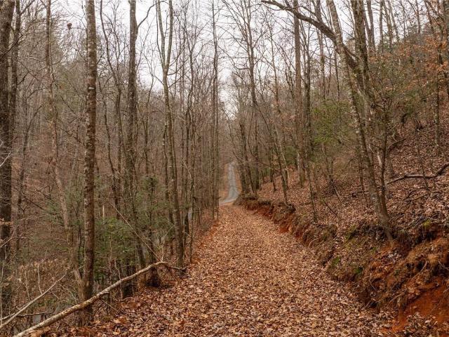 Land for sale in Dahlonega, Georgia