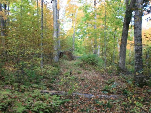Land for sale in Iron River, Michigan