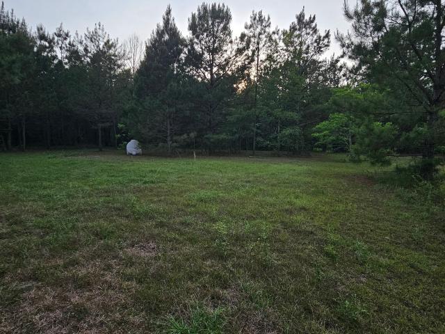 Land for sale in Statesboro, Georgia