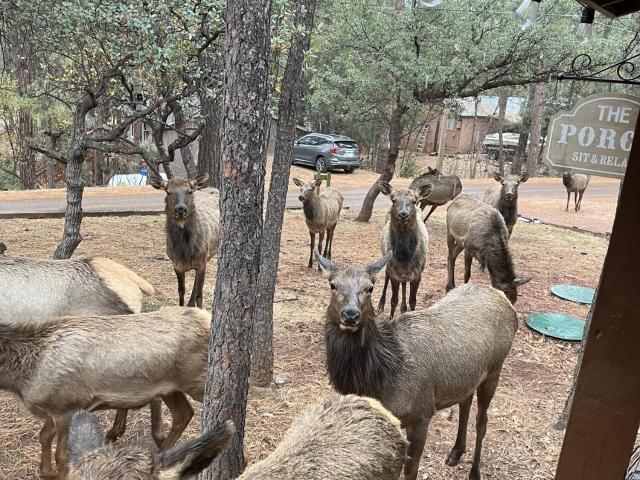 House for sale in Gila, Arizona