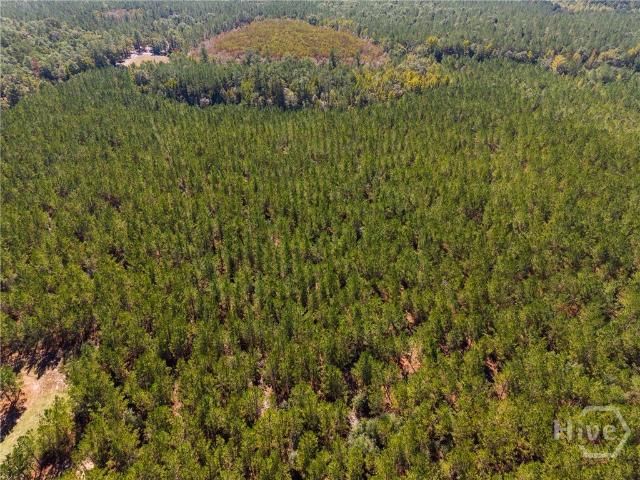 Land for sale in Baxley, Appling County
