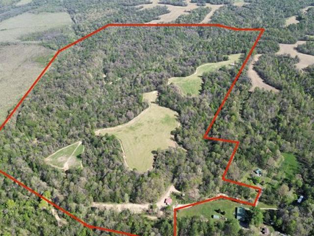 Land for sale in Bardwell, Kentucky