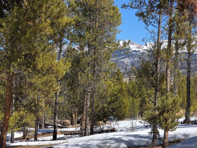 Land for sale in Twin Lakes, Colorado