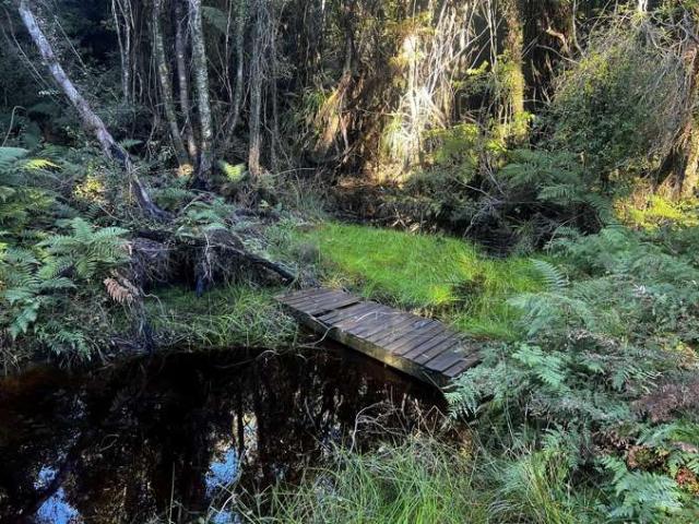 Land for sale in West Coast