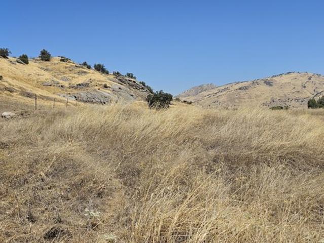 Land for sale in Tulare, California
