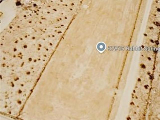 Land for sale in Lucerne Valley, California