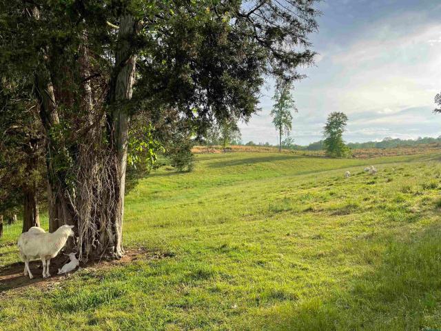 House for sale in Foxwood, Barboursville