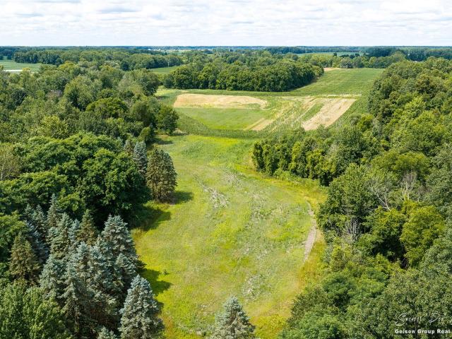 Land for sale in Ionia, Michigan