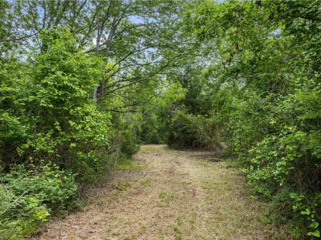 Land for sale in Chriesman, Texas