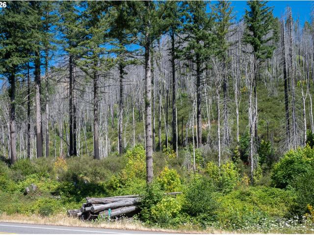 Land for sale in Oregonia