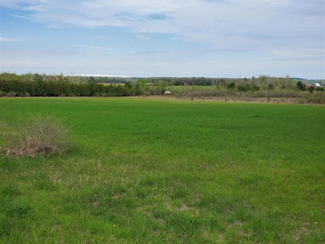 Land for sale in Ossineke