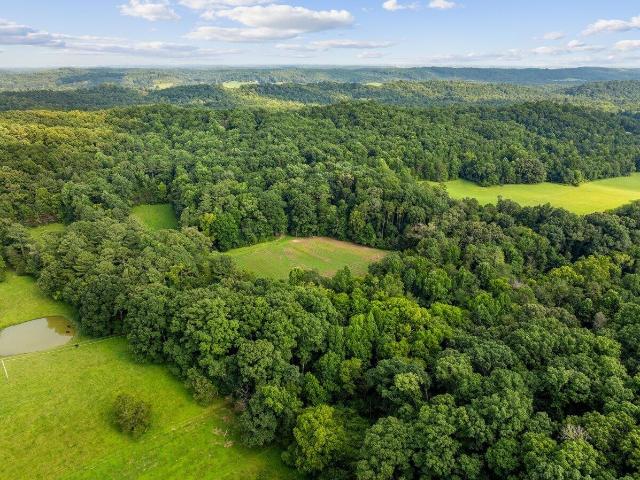 Farm for sale in Athens, East Tennessee