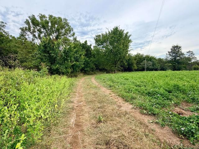 Land for sale in Stone, Missouri