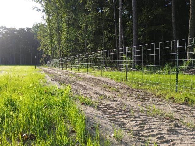 Land for sale in Ridgeville, Berkeley County