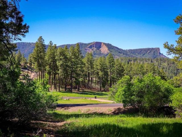 Land for sale in Pagosa Springs, Colorado