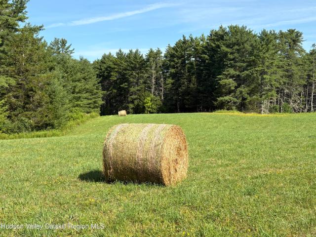 Land for sale in Gilboa, New York