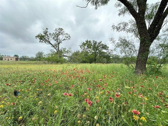 Land for sale in Fredericksburg, Texas