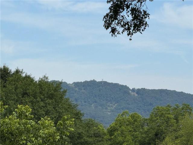 Land for sale in Cobb, Georgia