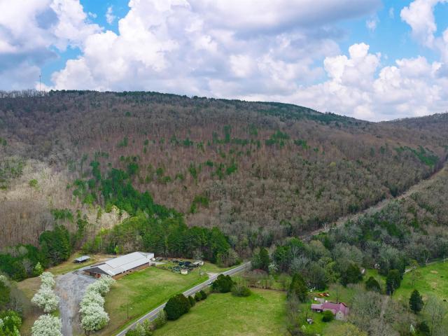 Land for sale in Collinsville, Alabama