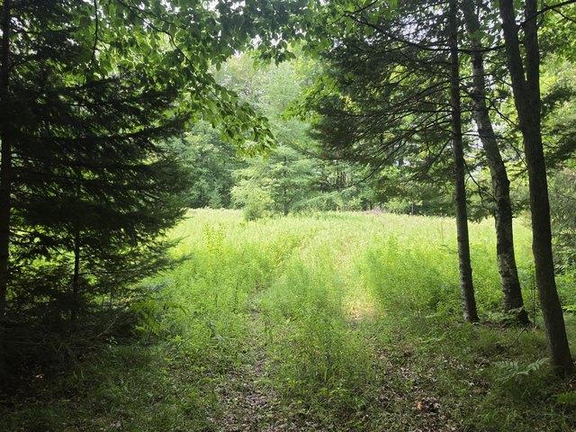 Land for sale in Wausaukee, Wisconsin