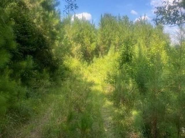 Farm for sale in Lucedale, Mississippi