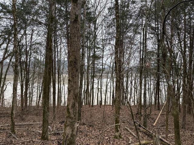 Land for sale in Tennessee
