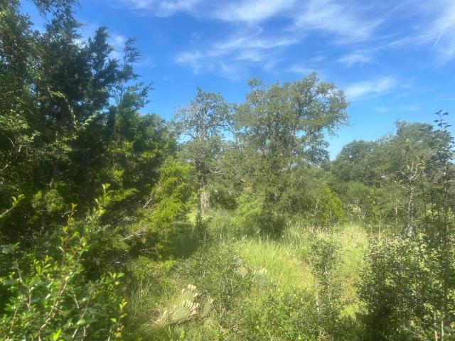 Land for sale in Llano, Texas