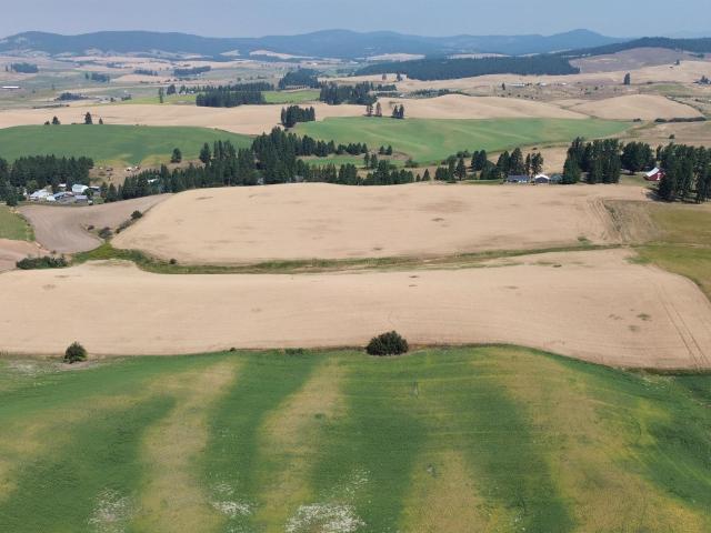 Property for sale in Potlatch, Idaho