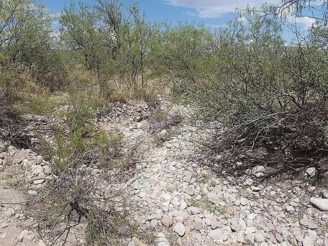 Land for sale in San Simon, Arizona