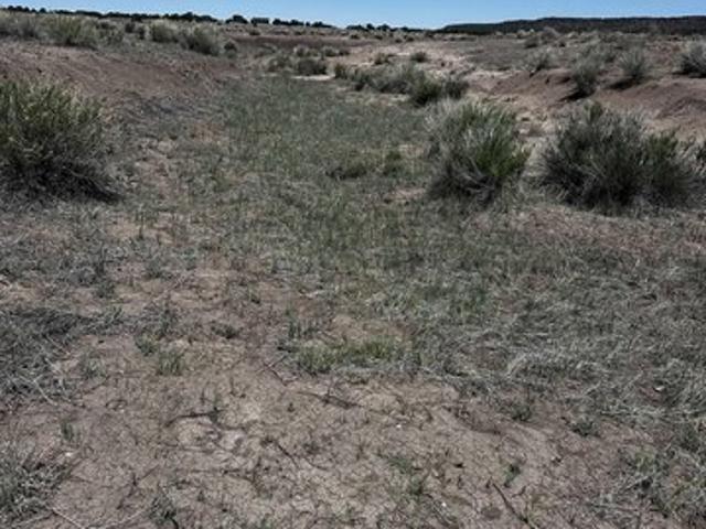 House for sale in Catron, New Mexico