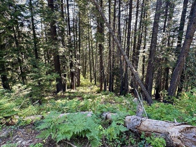 Land for sale in Donnelly, Idaho