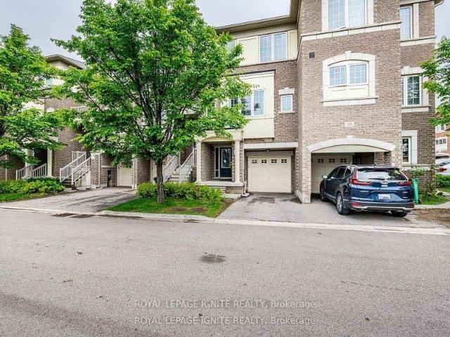 Condo for rent in Woburn, Ontario