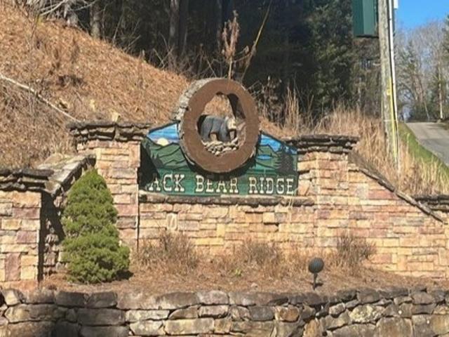 Land for sale in Gilmer, Georgia
