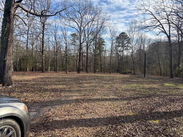 Land for sale in Bartow, Georgia