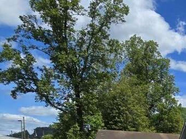 House for sale in Mountain City, Georgia