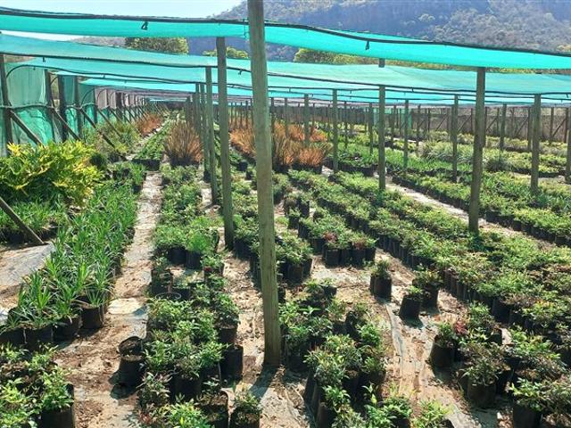 Commercial Land for sale in Mpumalanga
