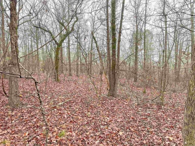 Land for sale in Ark