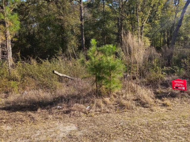 Land for sale in South Carolina