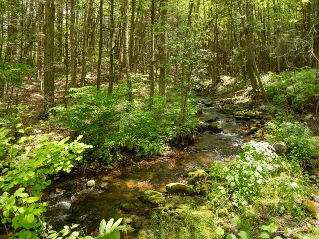 House for sale in Canaan, Connecticut