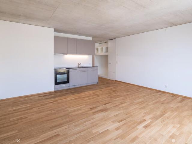Studio mieten in Biel, Bern
