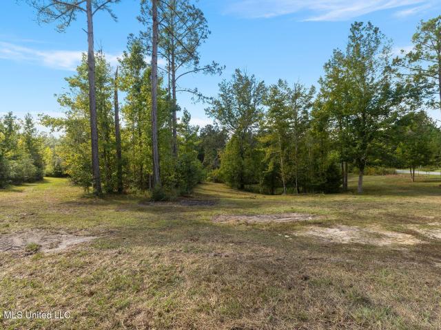 Land for sale in Sumrall, Lamar County