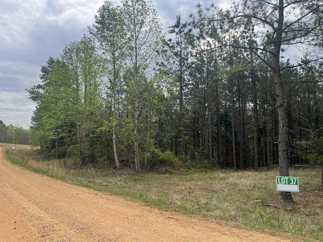 Land for sale in Tennessee