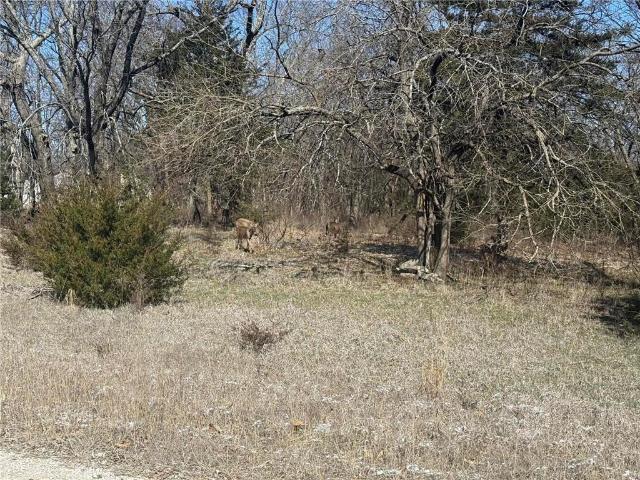 Land for sale in Kansas