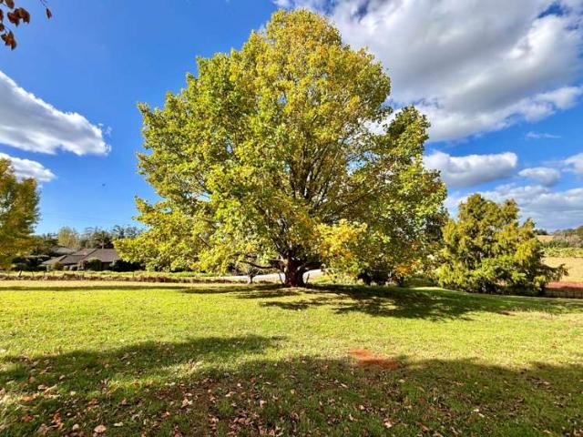 Land for sale in Karetu, Northland